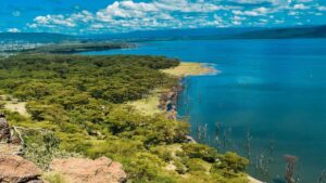 Beautiful shore of Lake Nakuru National Park