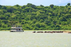 Cruise at Queen Elizabeth National Park