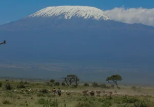 Mt Kilimanjaro Showing off on a 6-Day Kenya Bush Safari in Amboseli a National Park in Kenya