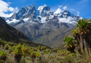 Snowy Rwenzori Mountains National Park