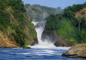 Murchison Falls National Park
