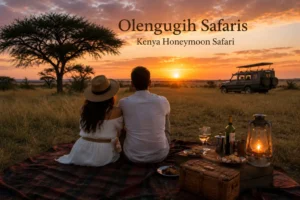 Kenya Honeymoon Safari