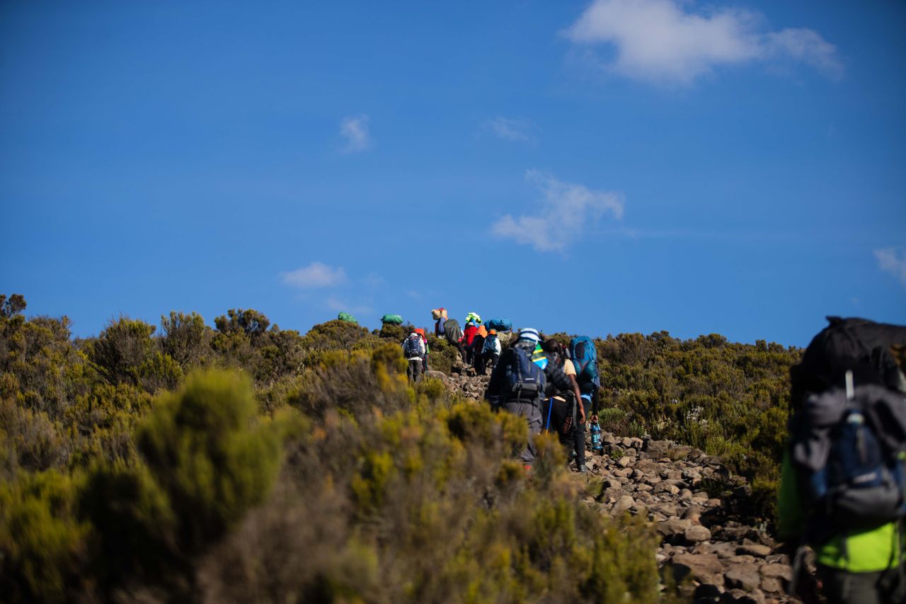 Marangu Route