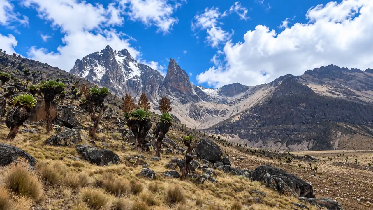 Best Time to Climb Mount Kenya