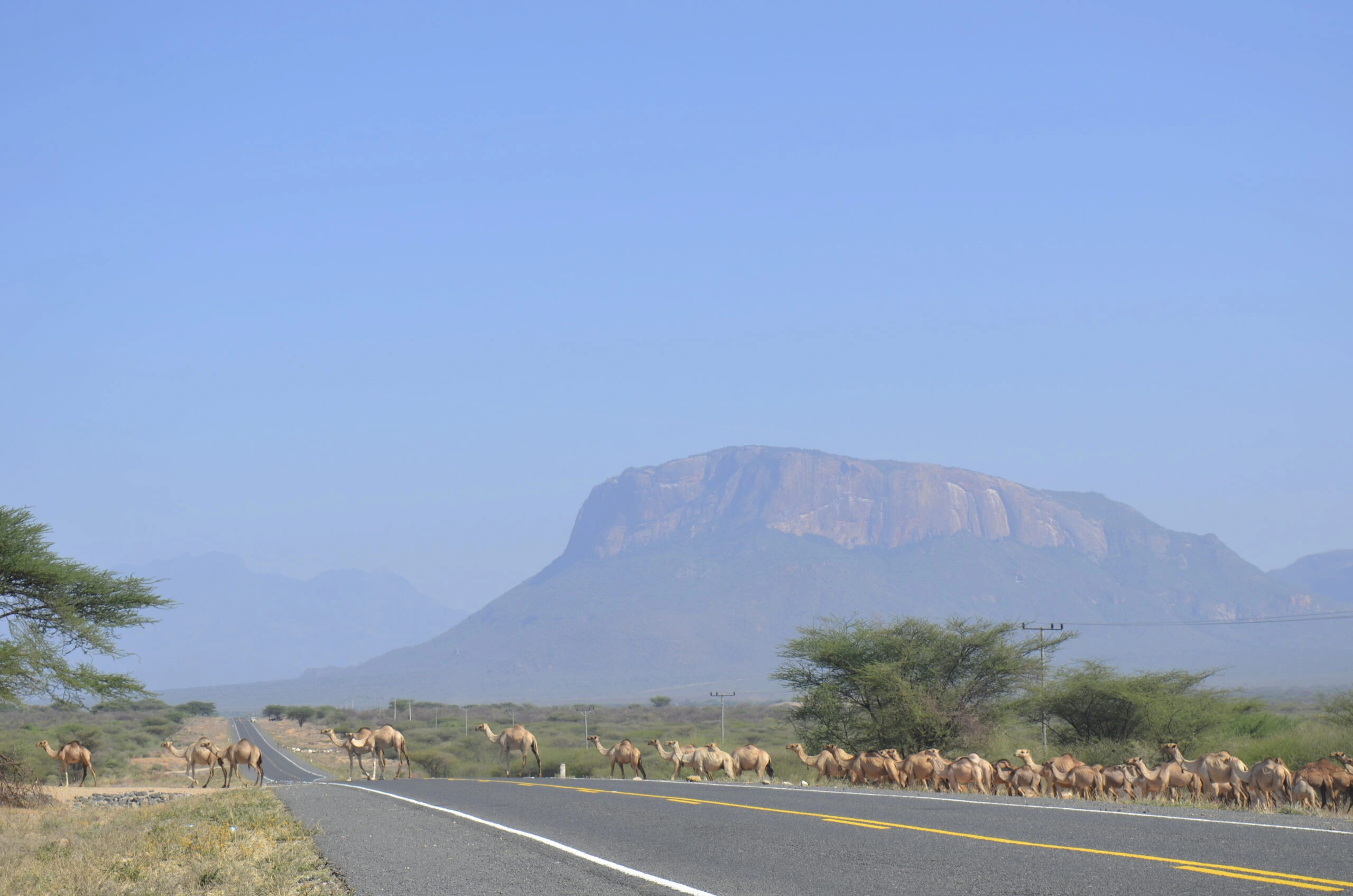 3 Days Mount Ololokwe and Samburu Safari