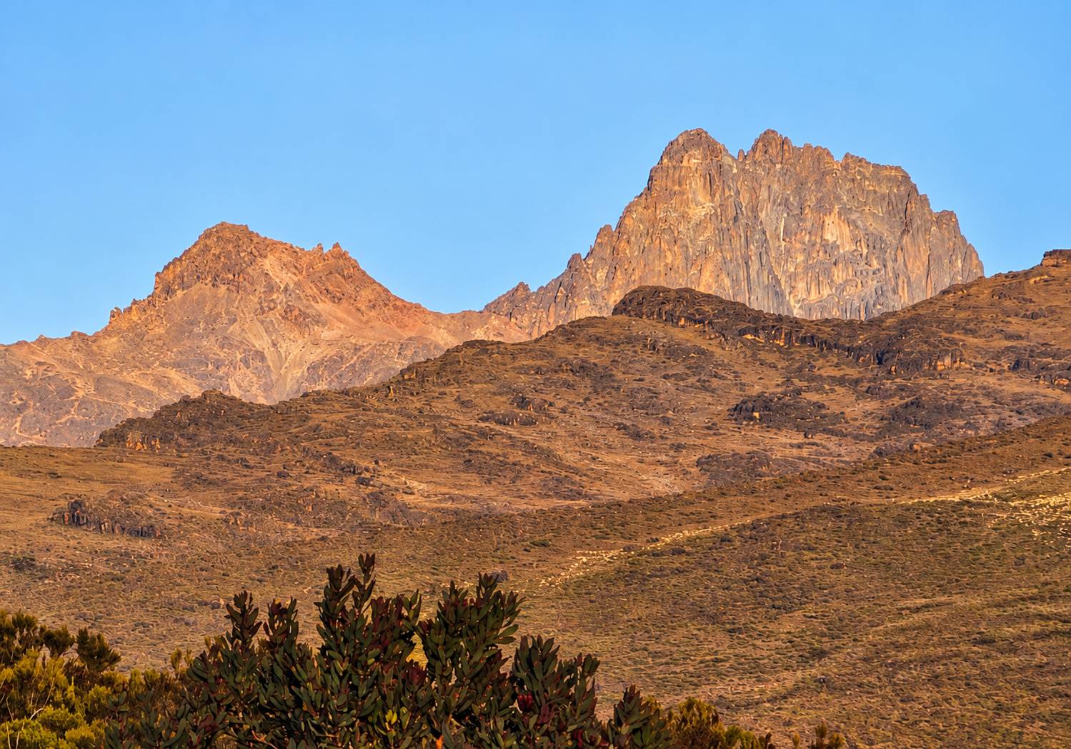 Can You Climb Mount Kenya for Your Honeymoon? 2026 Guide