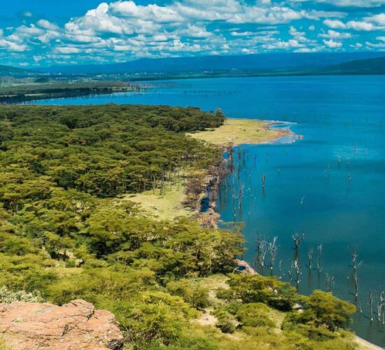 Beautiful shore of Lake Nakuru National Park. Photo taken on an 8-Day Kenya Safari
