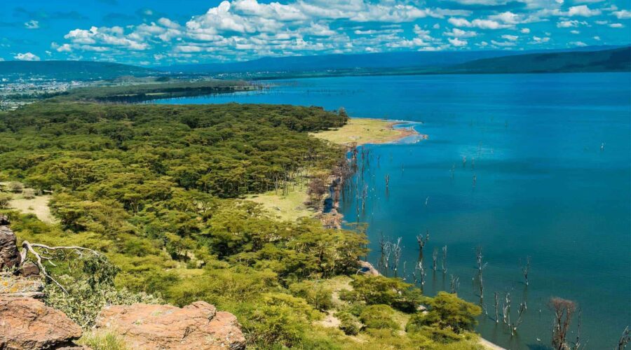Beautiful shore of Lake Nakuru National Park