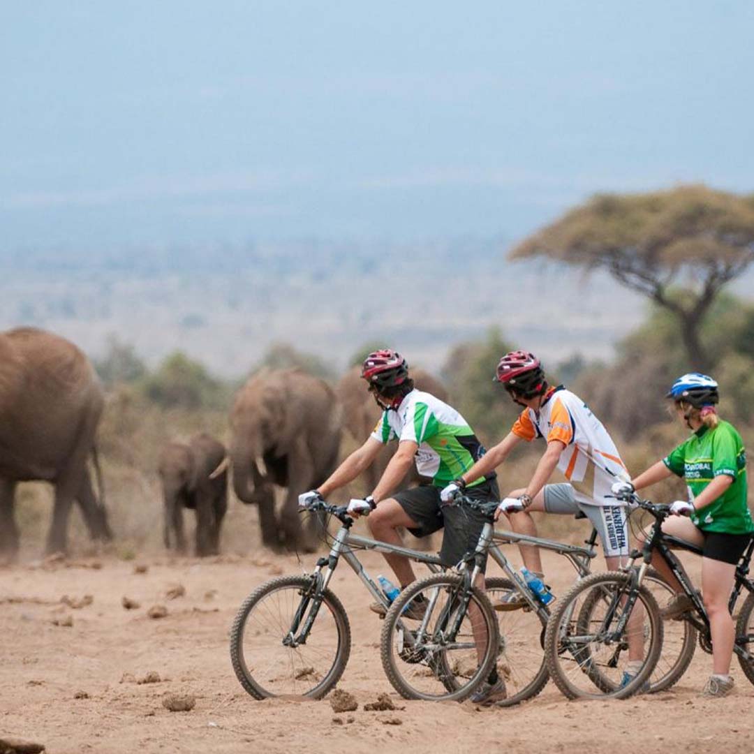 Cycling Safaris