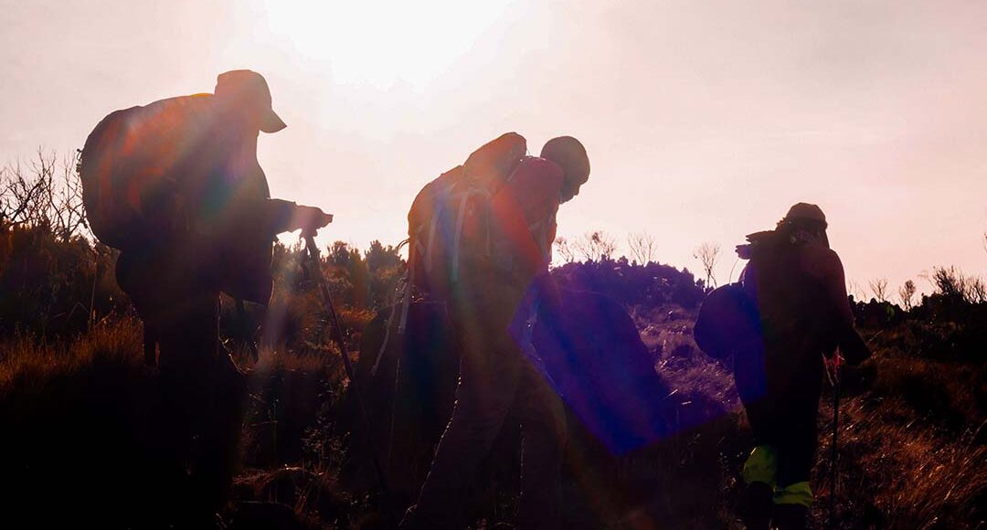 Group of hikers trekking up a scenic mountain trail