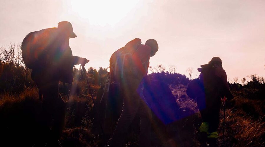 Group of hikers trekking up a scenic mountain trail
