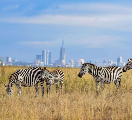 Nairobi National Park
