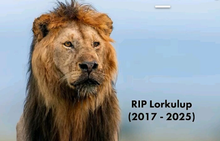 Remembering Lorkulup