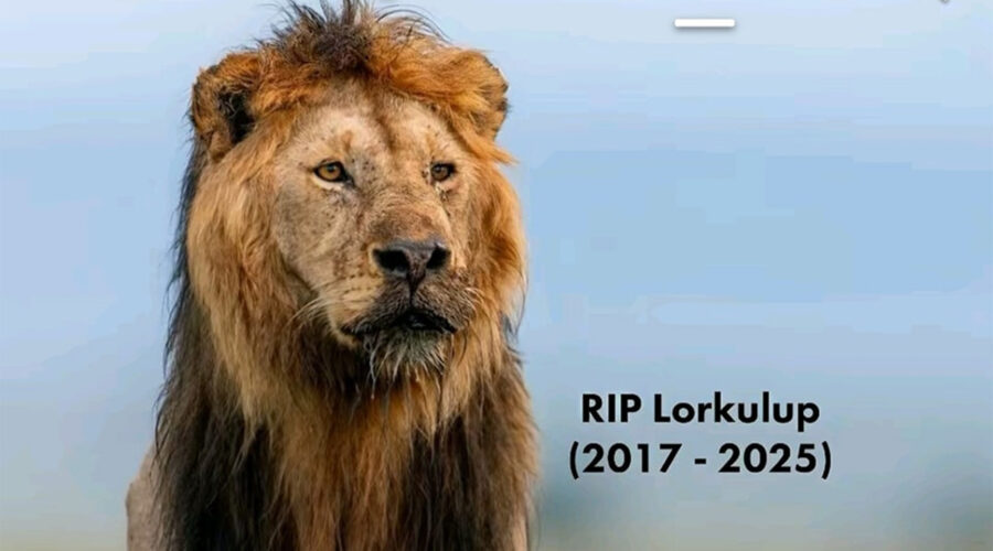 Remembering Lorkulup