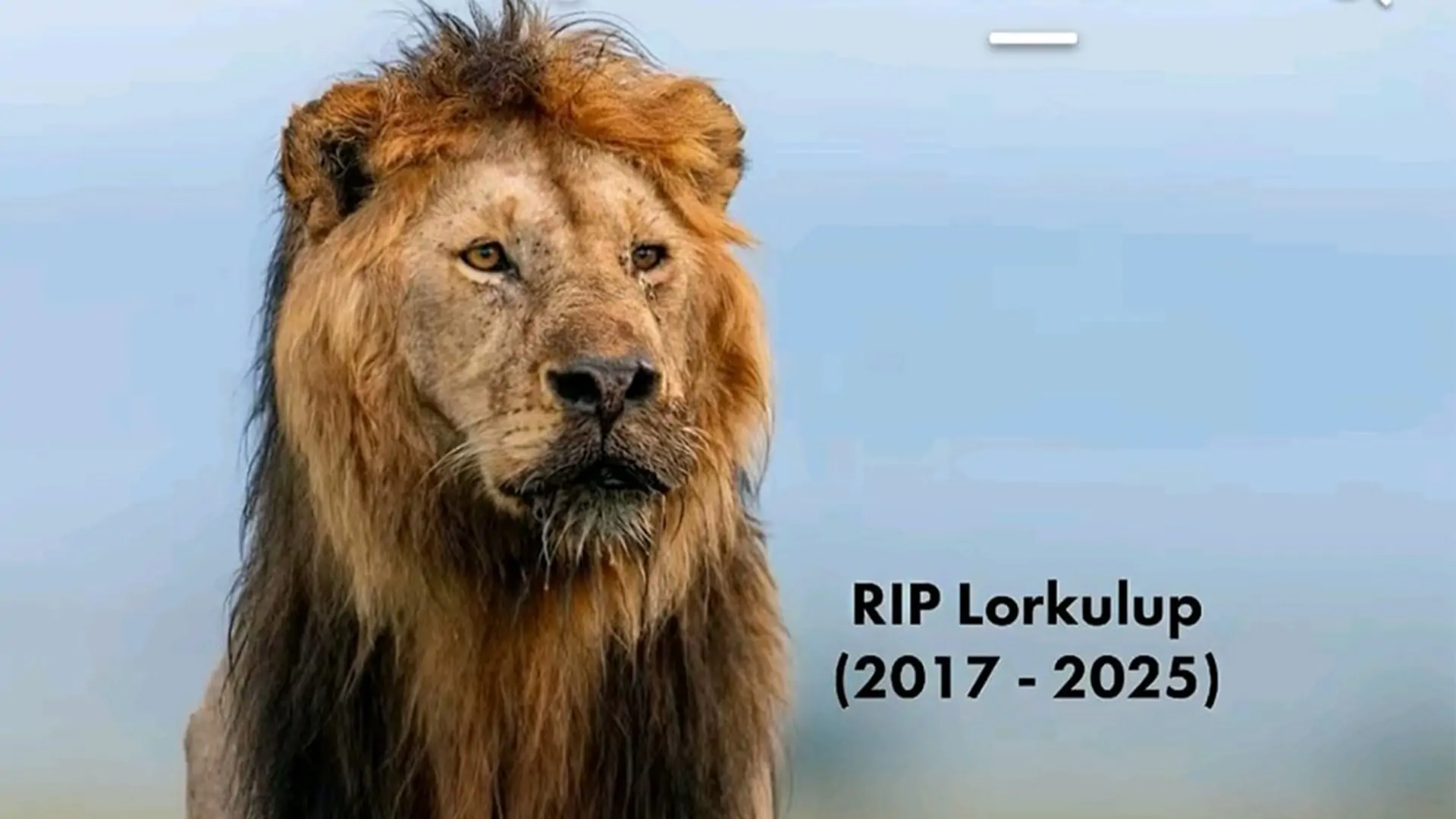 Remembering Lorkulup