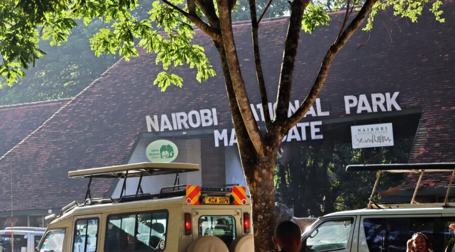taking pictures while waiting to pay the-New-Kws-Park-Entry-fees