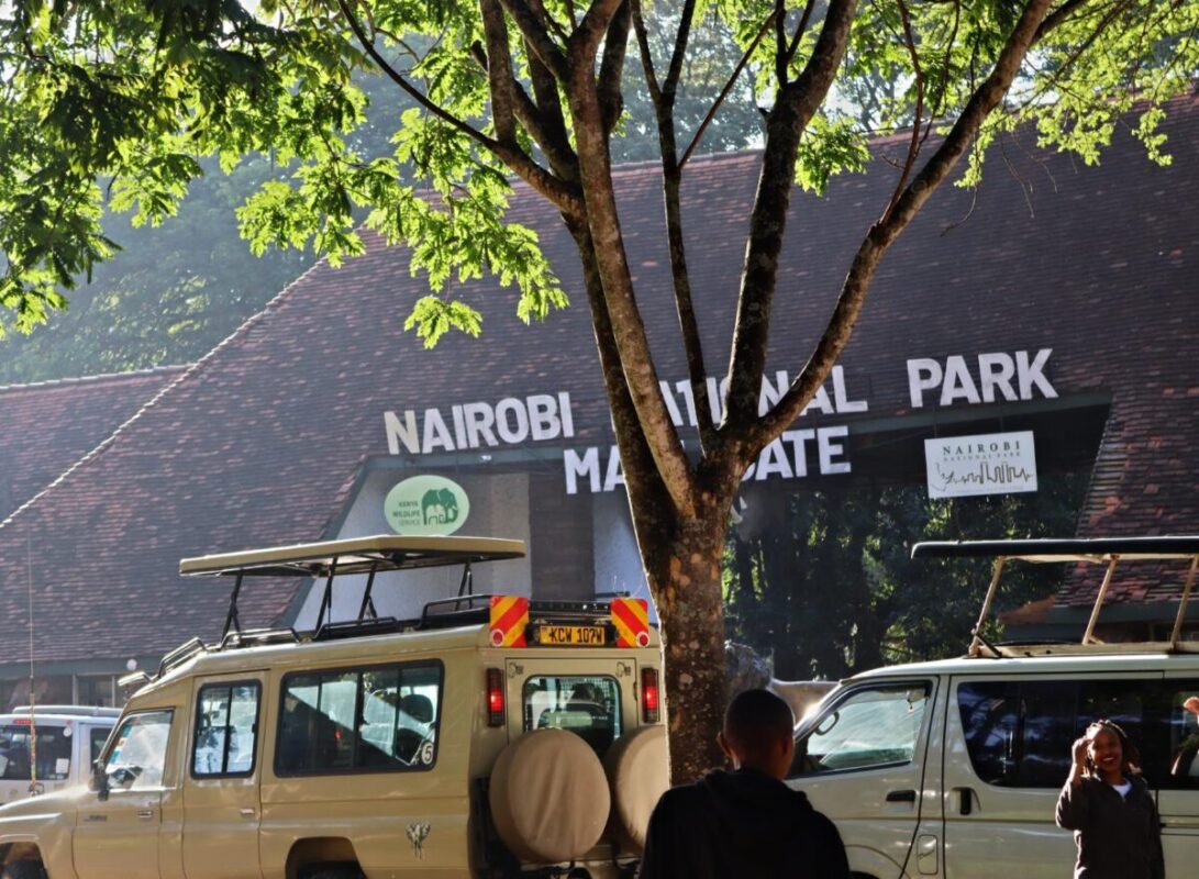 taking pictures while waiting to pay the-New-Kws-Park-Entry-fees
