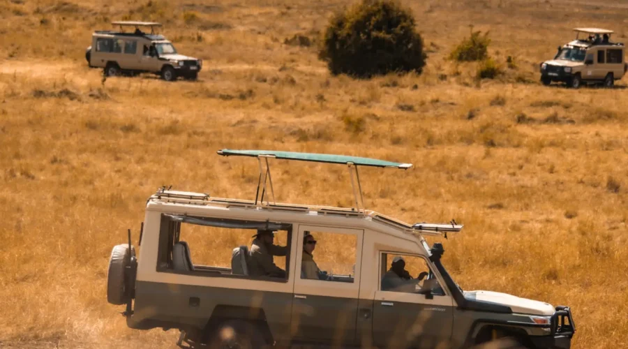 How Long Should a Kenya Safari Be, for the best experience