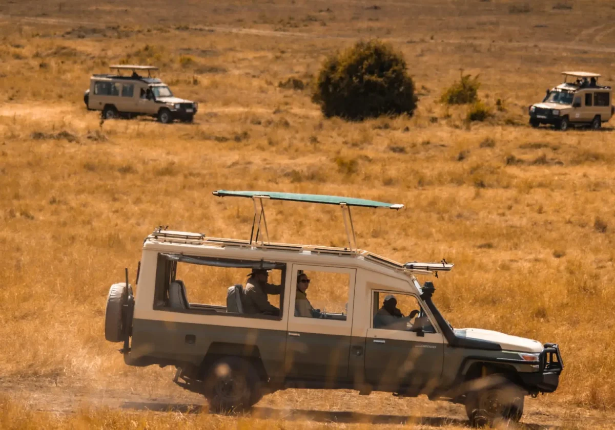 How Long Should a Kenya Safari Be, for the best experience