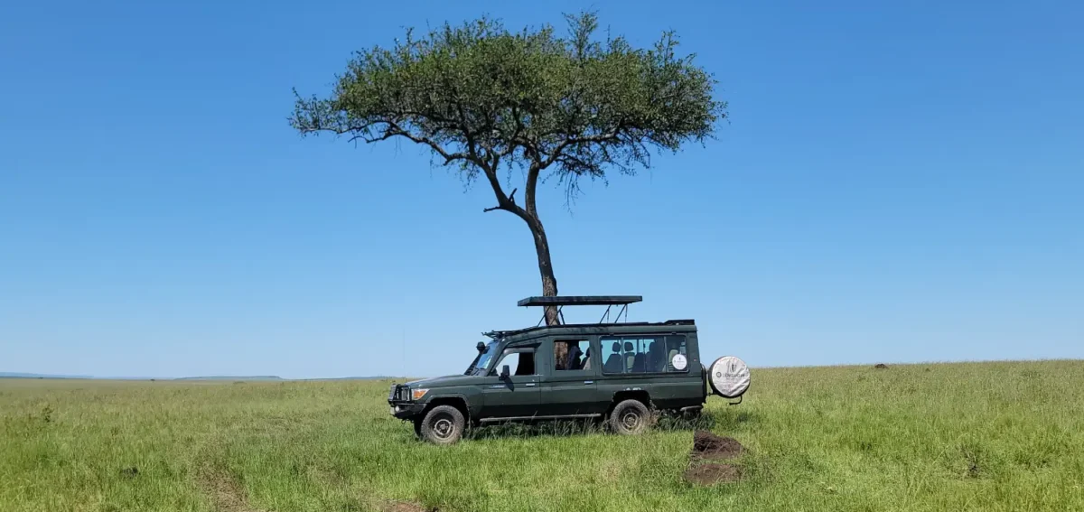 Landcruiser in Mara during a 6-Day Kenya Bush Safari