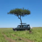 Landcruiser in Mara during a 6-Day Kenya Bush Safari