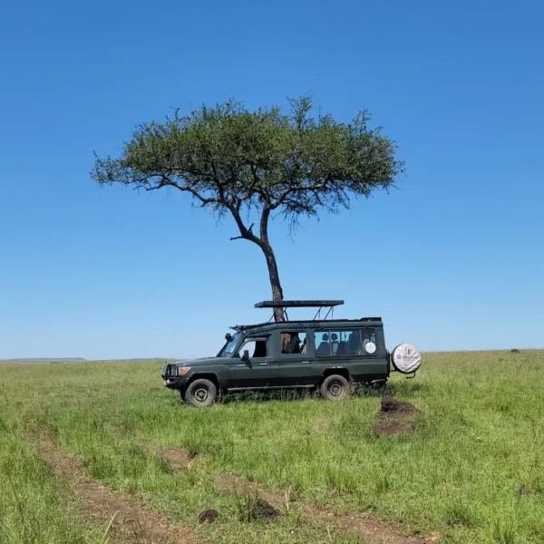 Landcruiser in Mara during a 6-Day Kenya Bush Safari