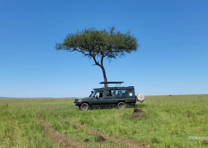 Landcruiser in Mara during a 6-Day Kenya Bush Safari