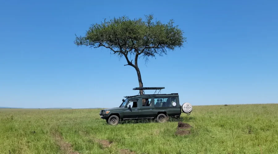 6-Day Kenya Bush Safari (4) Landcruiser in Mara during a 6-Day Kenya Bush Safari