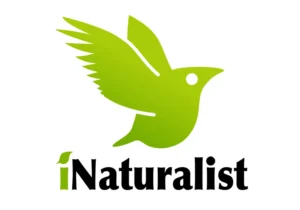 Travel apps for Kenya good when doing safari