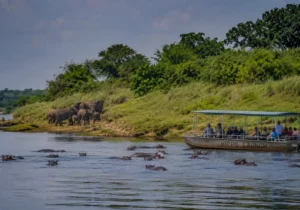Queen Elizabeth National park
