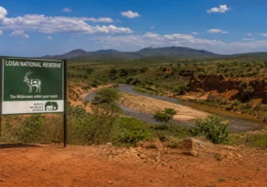 Losai National Reserve