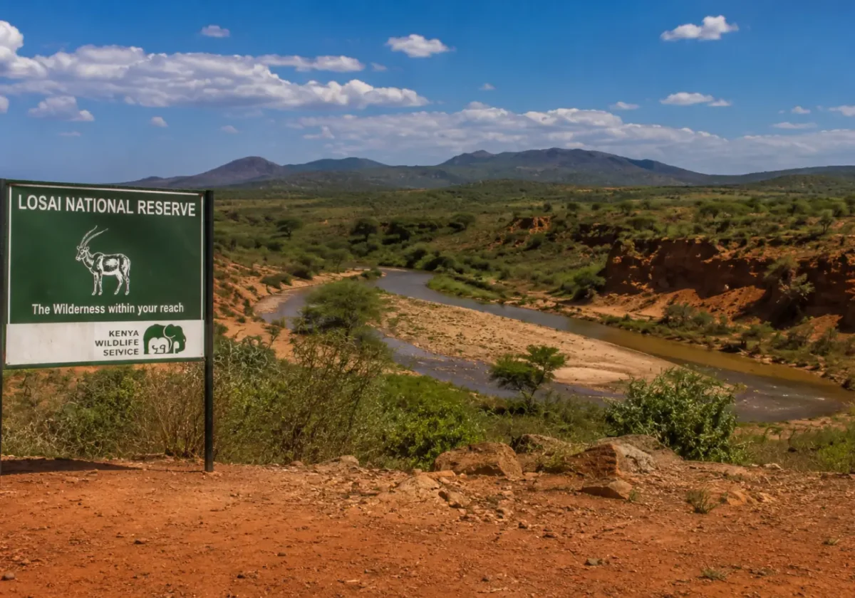 Losai National Reserve