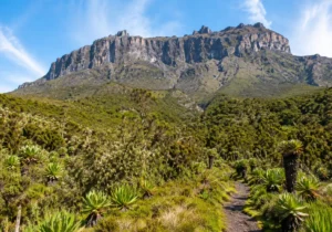 Visit Mount Elgon National Park for Kitum Cave, scenic waterfalls, wildlife, birdwatching, and epic mountain trekking